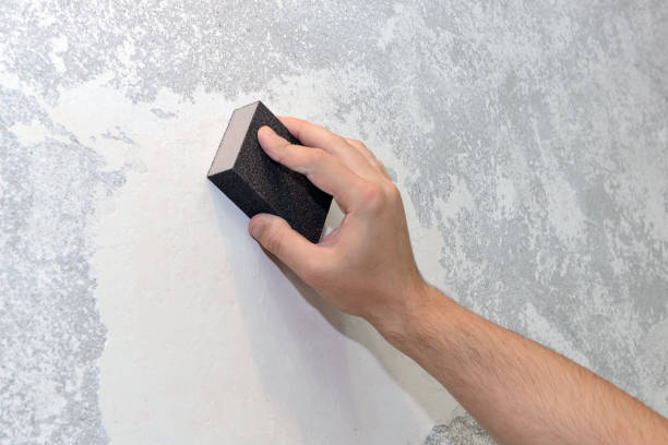 Best Mold Odor Removal Services  in Bangor, MI