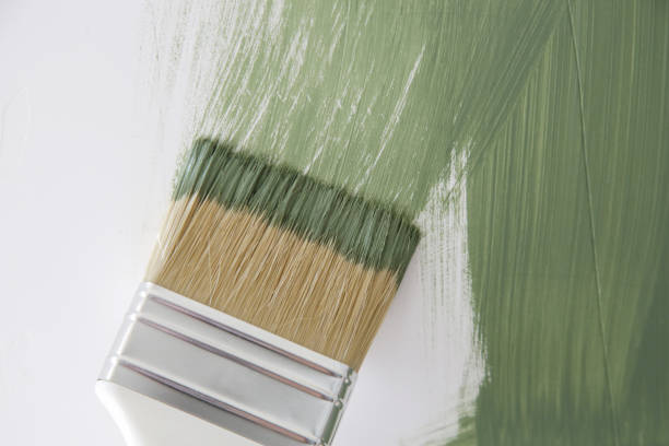 Best Mold Documentation for Insurance Claims  in Bangor, MI