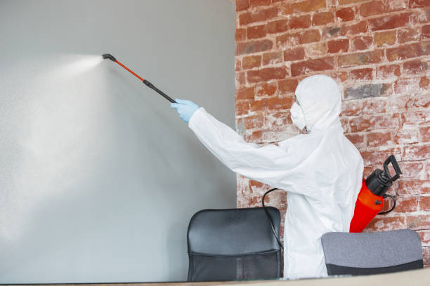 Best HVAC Mold Inspection and Cleaning  in Bangor, MI