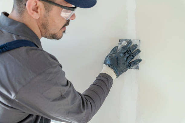  Bangor, MI Mold Removal Pros