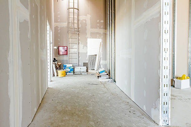 Best Mold Documentation for Insurance Claims  in Bangor, MI