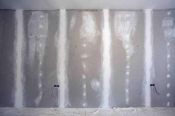  Bangor, MI Mold Removal Pros