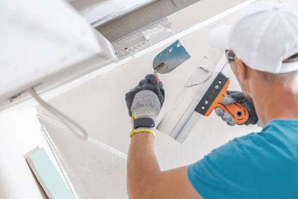 Best Residential Mold Inspection & Testing  in Bangor, MI